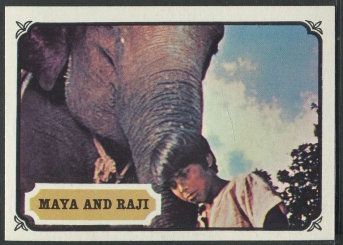 15 Maya and Raji